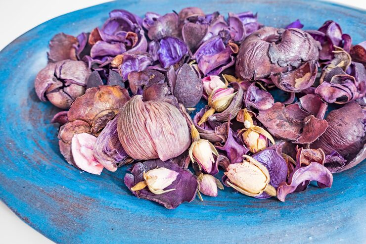 Dehydrated Onion Powder